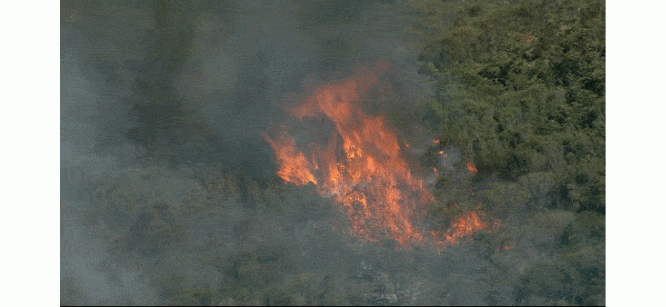 Sydney's north is facing an out-of-control bushfire, prompting an emergency warning.