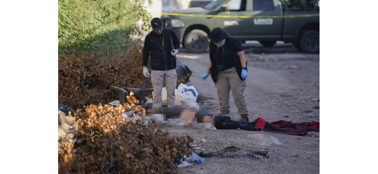 Scores die or disappear in ongoing Mexico drug cartel conflict.