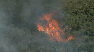 Sydney's north is facing an out-of-control bushfire, prompting an emergency warning.