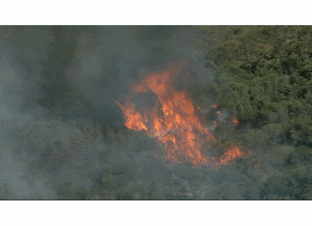 Sydney's north is facing an out-of-control bushfire, prompting an emergency warning.