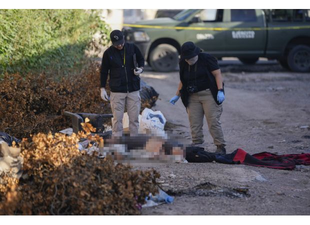 Scores die or disappear in ongoing Mexico drug cartel conflict.