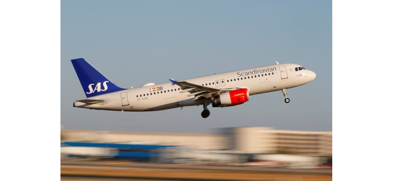 A plane had to make an emergency landing because a mouse was found in someone's meal.