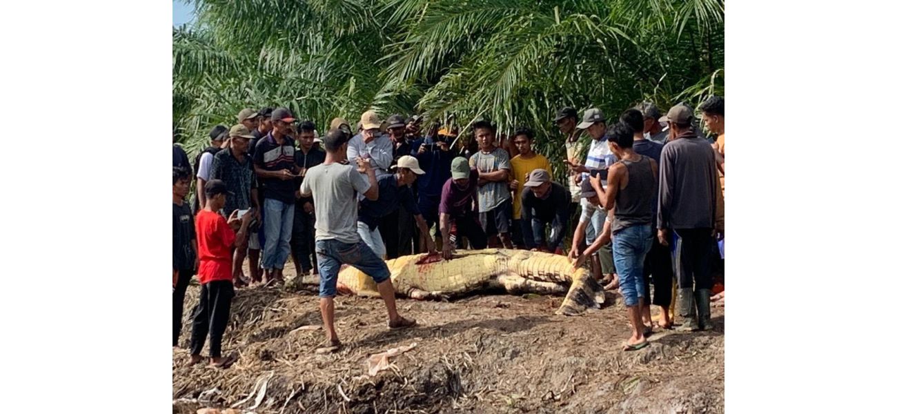 A search team discovered the head of a fisherman in the stomach of a crocodile.