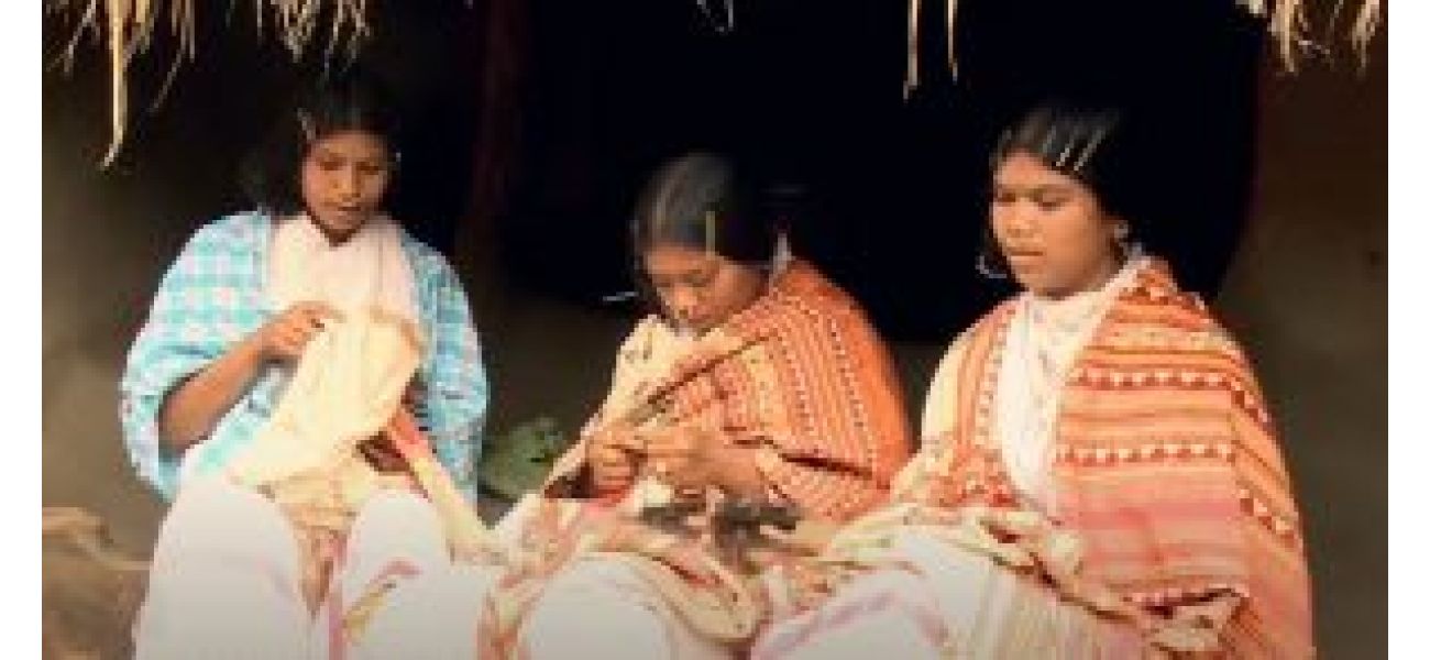 13 vulnerable tribal groups in Odisha (PVTGs)