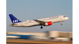 A plane had to make an emergency landing because a mouse was found in someone's meal.