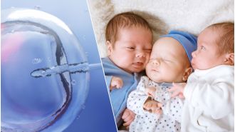 Australia's IVF twin and triplet birth rate has sharply declined.