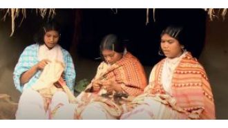 13 vulnerable tribal groups in Odisha (PVTGs)