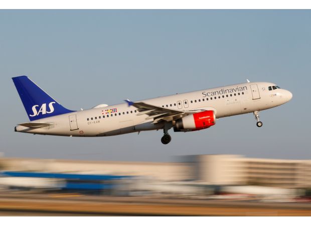 A plane had to make an emergency landing because a mouse was found in someone's meal.