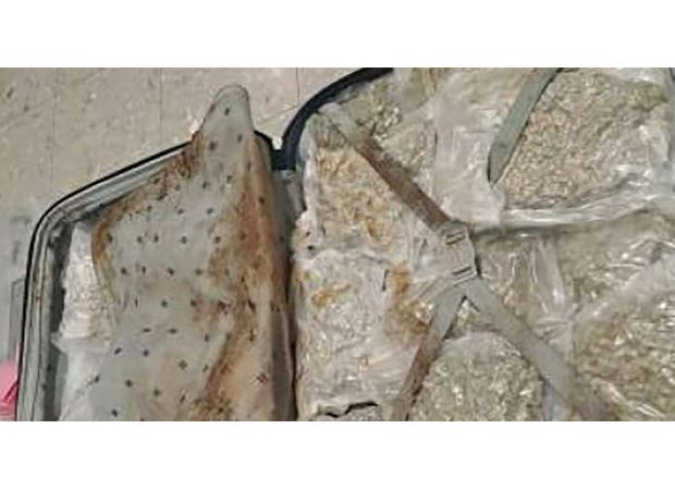 Father attempted to bring £1,000,000 worth of cannabis into the UK by hiding it in a child's suitcase.