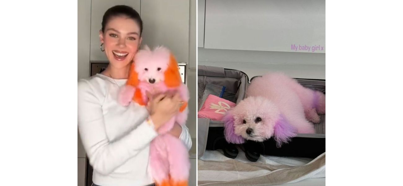 Actress Nicola Peltz shocks fans by coloring her dogs pink following a dispute with a groomer.