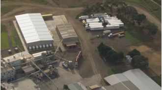 A worker was injured by cows at a slaughterhouse in Victoria.