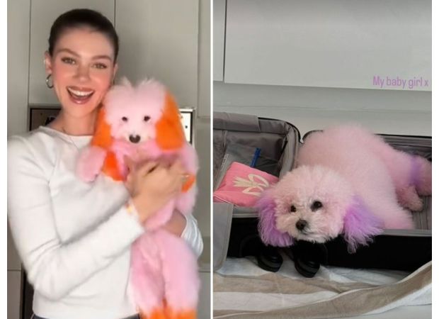 Actress Nicola Peltz shocks fans by coloring her dogs pink following a dispute with a groomer.