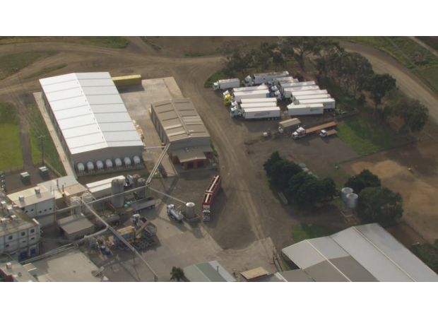 A worker was injured by cows at a slaughterhouse in Victoria.