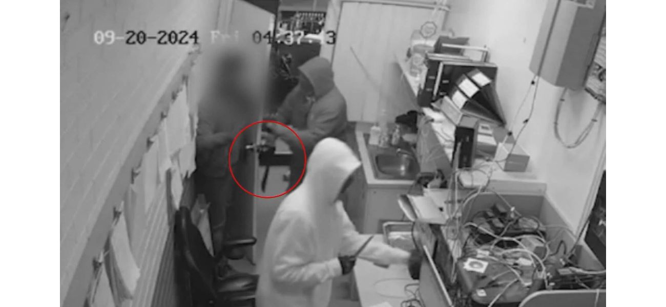 Group with machetes caught on camera committing crimes in Brisbane.