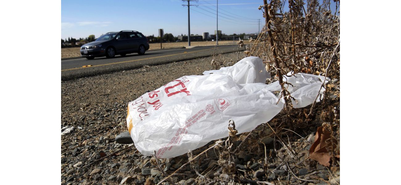 One US state has completely prohibited the use of plastic shopping bags.