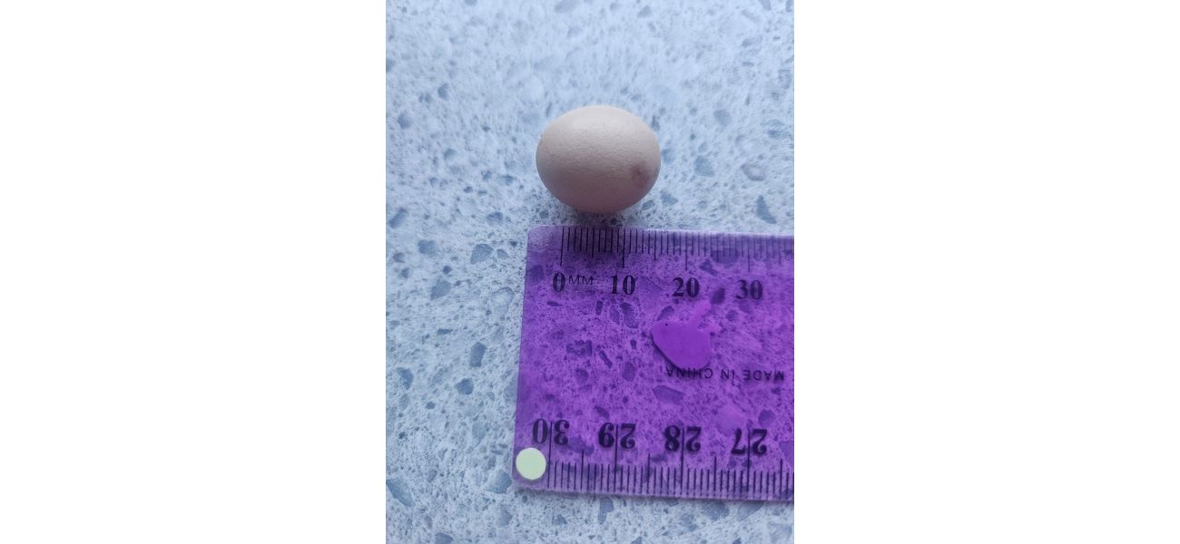 A miniature egg was discovered inside a regular chicken egg by a couple.