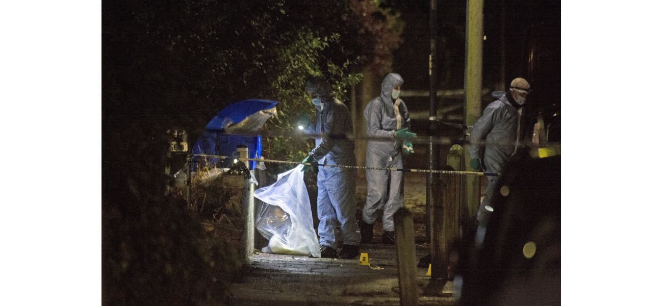 Police searching for murderer following fatal stabbing of young boy in London's south east.