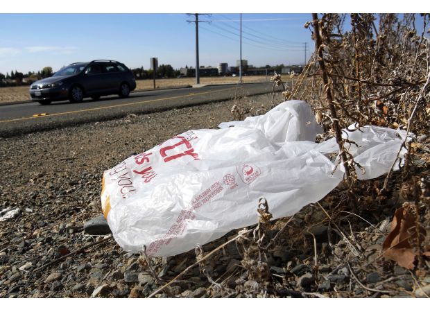One US state has completely prohibited the use of plastic shopping bags.
