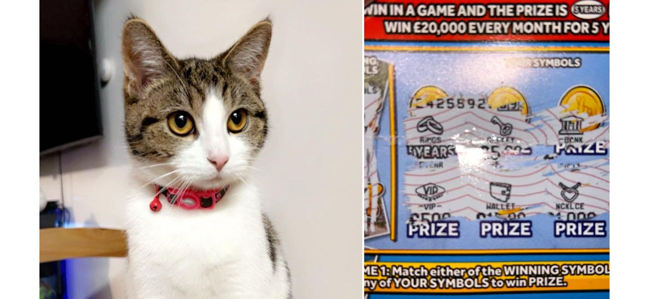 Primate claims victorious scratch ticket as prize.