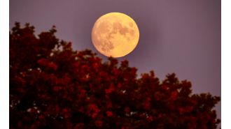 Next full moon in October 2024, known as Hunter's Moon, is approaching.