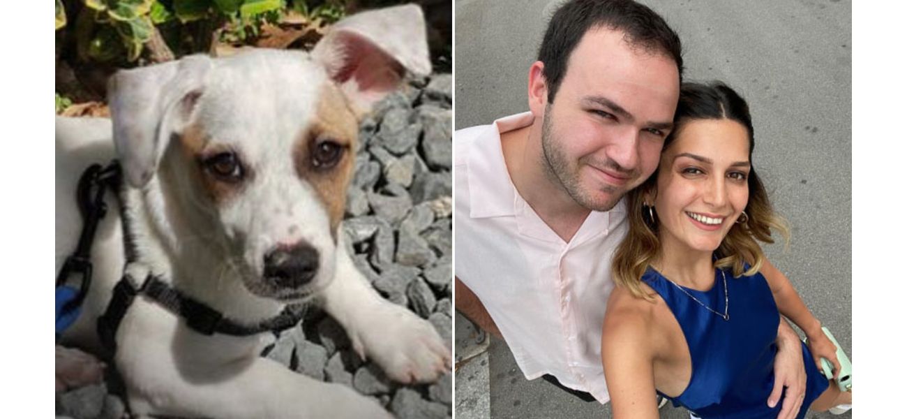 Lawyer receives £10,000 after pet's leg is injured during anxiety treatment.