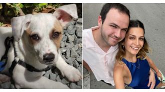 Lawyer receives £10,000 after pet's leg is injured during anxiety treatment.