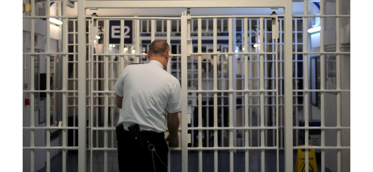 Many inmates mistakenly released due to program