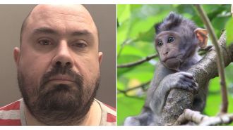 Man imprisoned after sharing disgusting videos of animal abuse on social media.