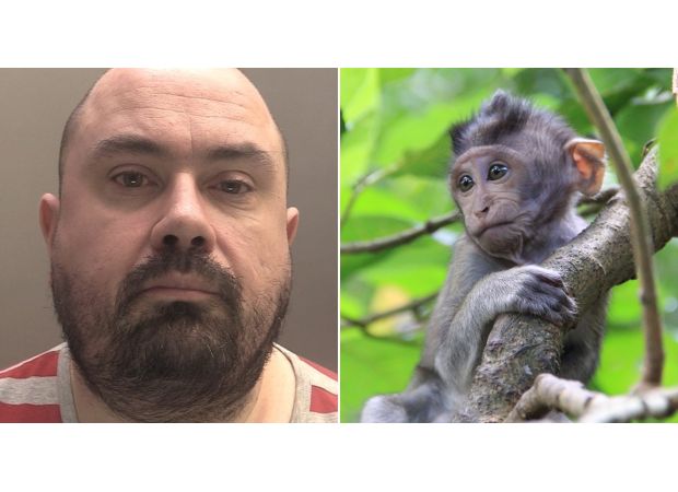 Man imprisoned after sharing disgusting videos of animal abuse on social media.