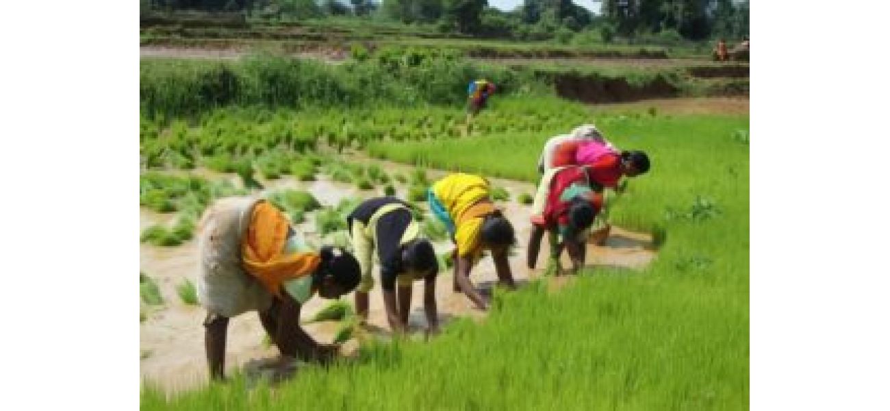 CIWA believes better assistance for female agriculturalists should be a top priority.