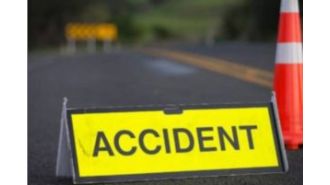 A truck accidentally hits a woman and six goats.