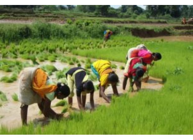 CIWA believes better assistance for female agriculturalists should be a top priority.
