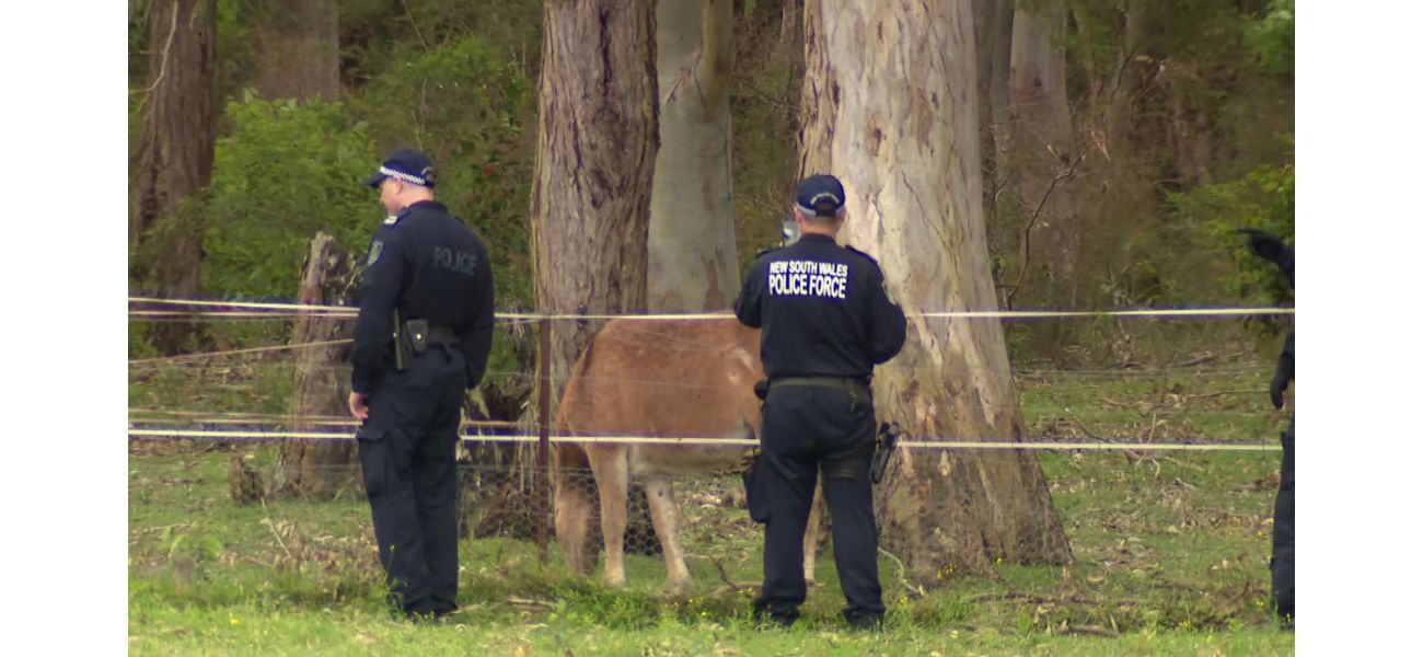 Two individuals arrested for injuring man found in wooded area with gunshot wounds.