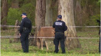 Two individuals arrested for injuring man found in wooded area with gunshot wounds.