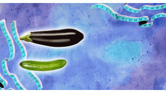 Scientists reveal the most common type of penis: grower or shower?
