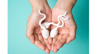 A doctor lists 5 things that can harm sperm.
