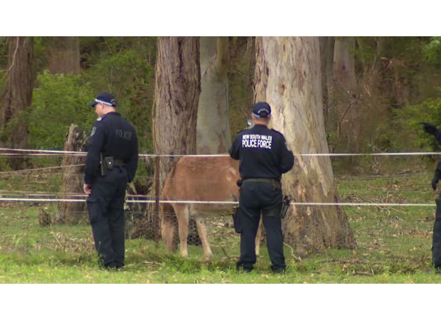 Two individuals arrested for injuring man found in wooded area with gunshot wounds.