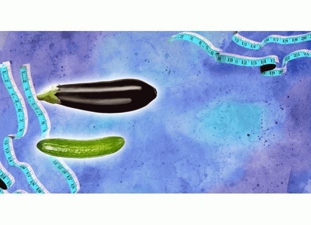 Scientists reveal the most common type of penis: grower or shower?