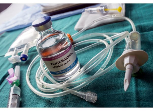 Warning issued about animal euthanasia drugs possibly sold to public.