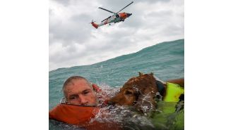 Sailor and dog saved from sinking boat during Hurricane Helene.