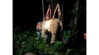 A wild elephant named Tusker was sedated and relocated to Kapilash.