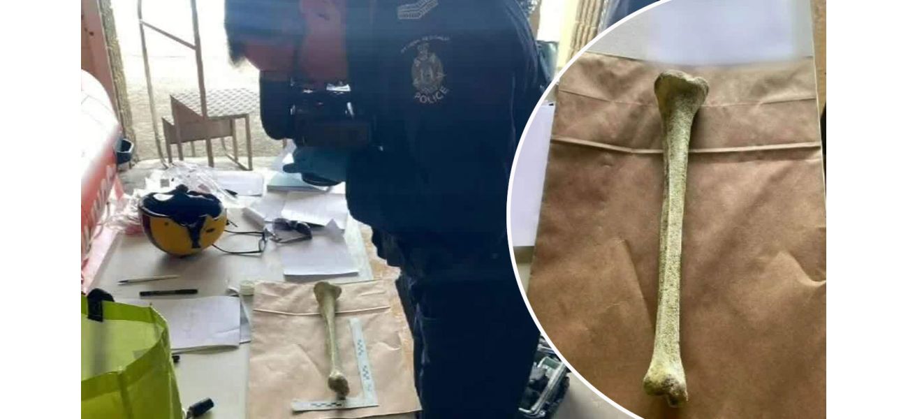 Mystery bone discovered on Washington beach prompts inquiry.
