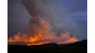Man's dog cremation caused massive forest fire.