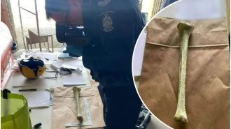 Mystery bone discovered on Washington beach prompts inquiry.