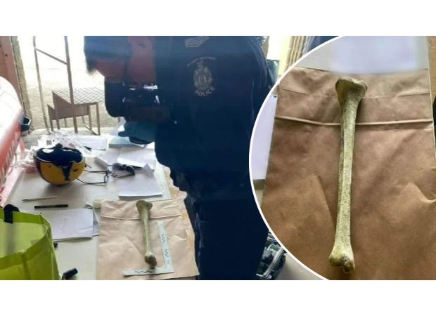 Mystery bone discovered on Washington beach prompts inquiry.