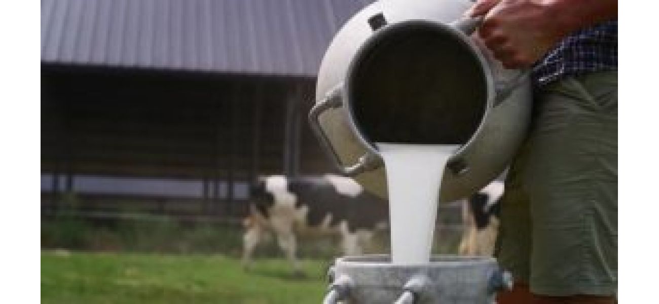 Odisha to introduce plan to increase milk output