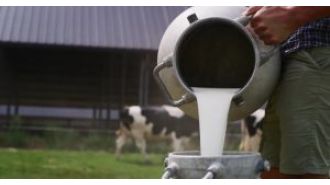 Odisha to introduce plan to increase milk output