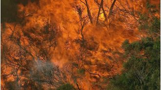 Get ready for a hot summer with the start of bushfire season.