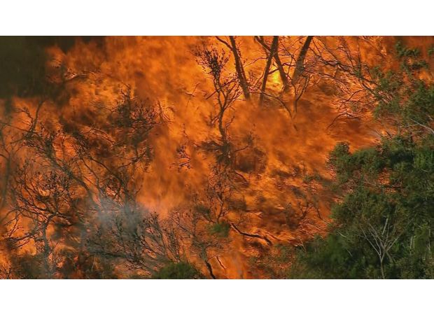 Get ready for a hot summer with the start of bushfire season.