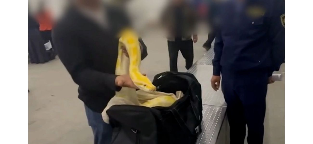 Airport officials were surprised to discover a massive 10ft python inside a passenger's carry-on bag.